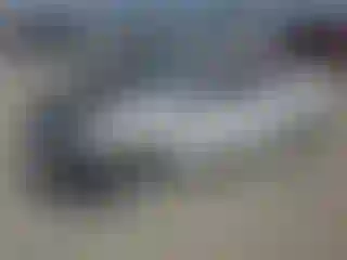 Vehicle Image- 2006 Honda Civic