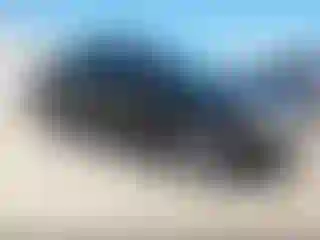 Vehicle Image- 2007 Honda Civic