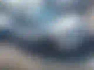 Vehicle Image- 2008 Honda Civic