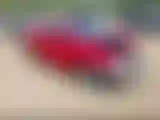 Vehicle Image- 2007 Honda Civic