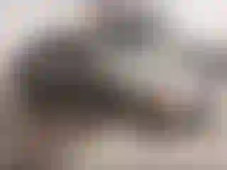 Vehicle Image- 2006 Honda Civic