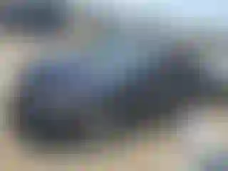 Vehicle Image- 2006 Honda Civic