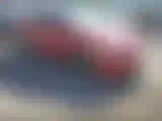 Vehicle Image- 2009 Honda Civic