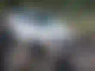 Vehicle Image- 2008 Honda Civic