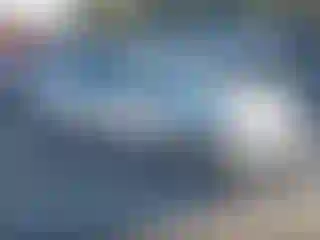 Vehicle Image- 2010 Honda Civic