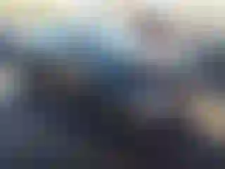 Vehicle Image- 2010 Honda Civic