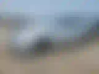 Vehicle Image- 2011 Honda Civic