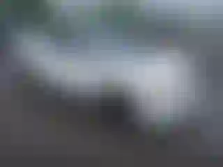 Vehicle Image- 2010 Honda Civic