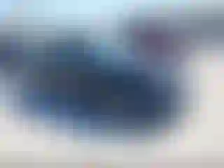 Vehicle Image- 2010 Honda Civic