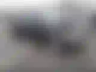 Vehicle Image- 2010 Honda Civic