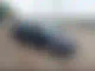 Vehicle Image- 2011 Honda Civic