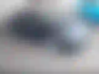 Vehicle Image- 2007 Honda Civic