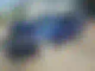 Vehicle Image- 2006 Honda Civic