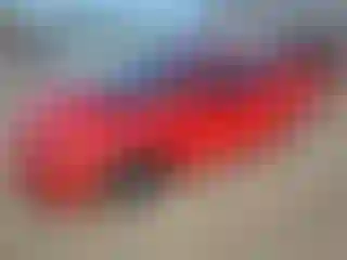 Vehicle Image- 2006 Honda Civic