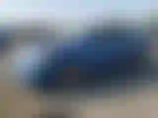 Vehicle Image- 2014 Honda Civic