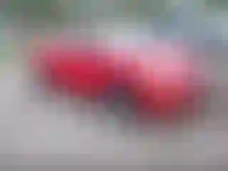 Vehicle Image- 2012 Honda Civic