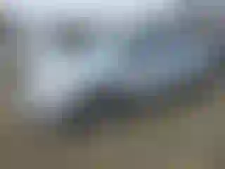 Vehicle Image- 2012 Honda Civic