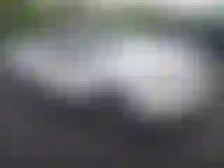 Vehicle Image- 2008 Honda Ridgeline