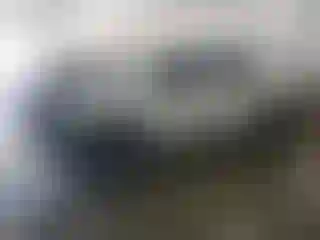 Vehicle Image- 2008 Honda Ridgeline