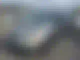 Vehicle Image- 2000 Honda Odyssey