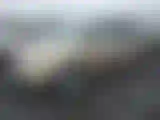 Vehicle Image- 2001 Honda Odyssey
