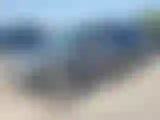 Vehicle Image- 2000 Honda Odyssey