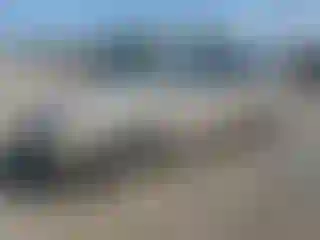 Vehicle Image- 2002 Honda Odyssey