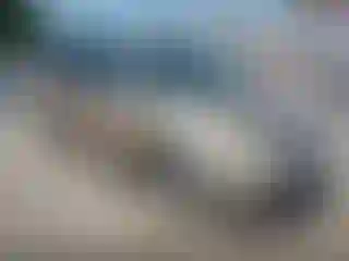 Vehicle Image- 2000 Honda Odyssey