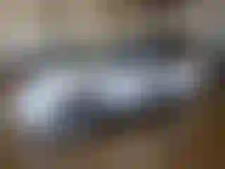 Vehicle Image- 2001 Honda Odyssey