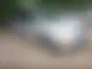 Vehicle Image- 2002 Honda Odyssey