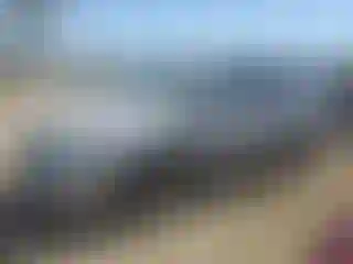 Vehicle Image- 2002 Honda Odyssey