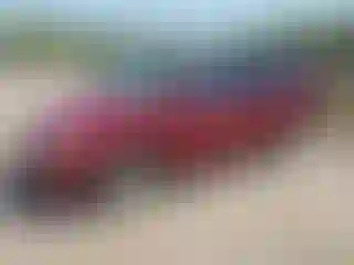 Vehicle Image- 2002 Honda Odyssey