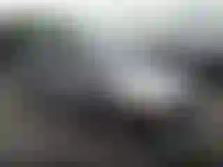 Vehicle Image- 2002 Honda Odyssey