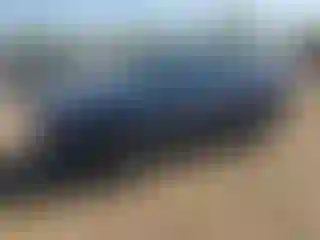 Vehicle Image- 2024 Honda CR-V