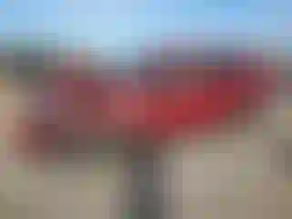 Vehicle Image- 2021 Honda CR-V