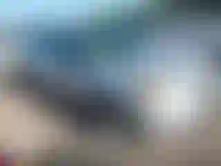 Vehicle Image- 2006 Honda Pilot