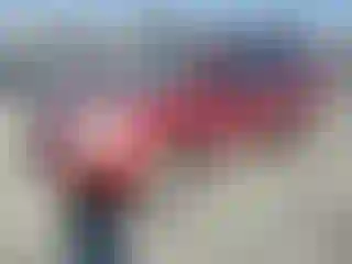 Vehicle Image- 2004 Honda Pilot