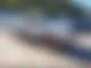 Vehicle Image- 2003 Honda Pilot