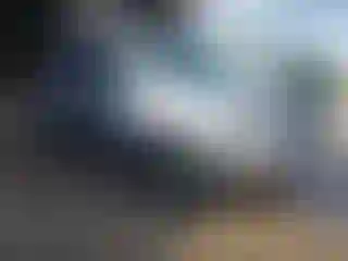 Vehicle Image- 2004 Honda Pilot