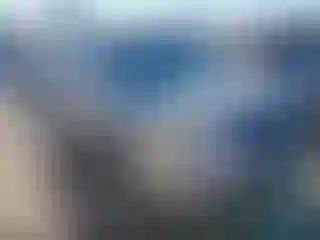 Vehicle Image- 2004 Honda Pilot