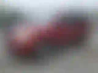 Vehicle Image- 2003 Honda Pilot