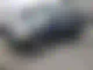 Vehicle Image- 2004 Honda Pilot