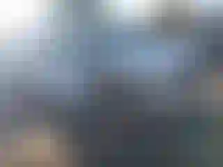 Vehicle Image- 2007 Honda Pilot