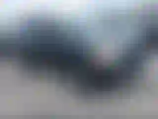 Vehicle Image- 2004 Honda Pilot