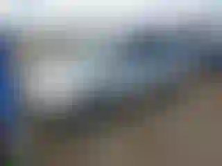 Vehicle Image- 2004 Honda Pilot