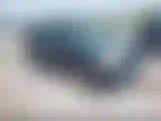 Vehicle Image- 2003 Honda Pilot