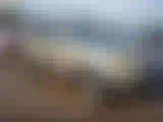 Vehicle Image- 2006 Honda Pilot