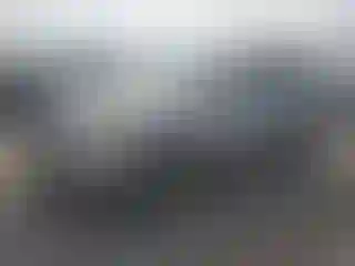 Vehicle Image- 2004 Honda Pilot