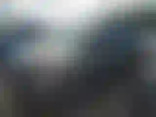 Vehicle Image- 2007 Honda Pilot