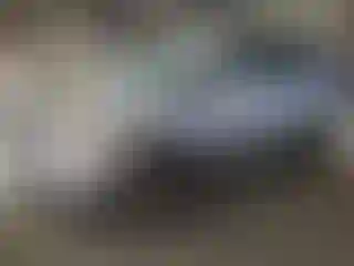 Vehicle Image- 2004 Honda Pilot